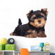 Yorkshire Terrier Puppy Sploot Wall Decal
