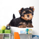 Yorkshire Terrier Puppy Sploot Wall Decal