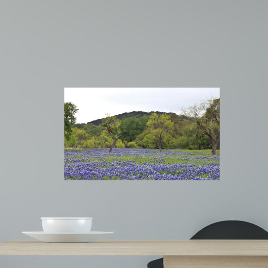 Bluebonnets With Trees And Hill Wall Decal