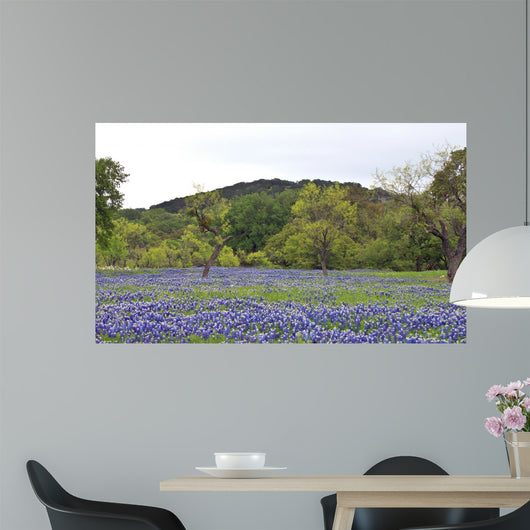 Bluebonnets With Trees And Hill Wall Decal