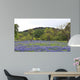 Bluebonnets With Trees And Hill Wall Decal