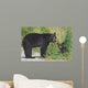 Black Bear Mother With Cub Wall Decal