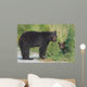 Black Bear Mother With Cub Wall Decal