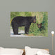 Black Bear Mother With Cub Wall Decal