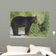 Black Bear Mother With Cub Wall Decal