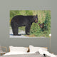 Black Bear Mother With Cub Wall Decal