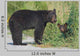 Black Bear Mother With Cub Wall Decal
