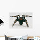 Brazilian Whiteknee Tarantula Wall Decal