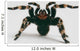 Brazilian Whiteknee Tarantula Wall Decal