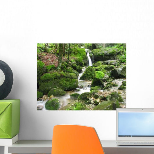 Wasserfall Im Moos Close-Up Wall Decal