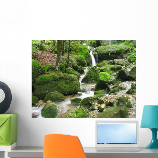 Wasserfall Im Moos Close-Up Wall Decal