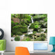 Wasserfall Im Moos Close-Up Wall Decal
