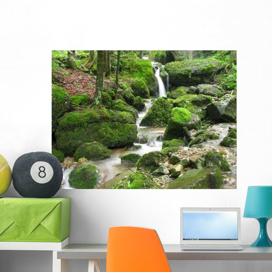 Wasserfall Im Moos Close-Up Wall Decal