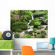 Wasserfall Im Moos Close-Up Wall Decal