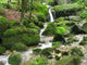 Wasserfall Im Moos Close-Up Wall Decal