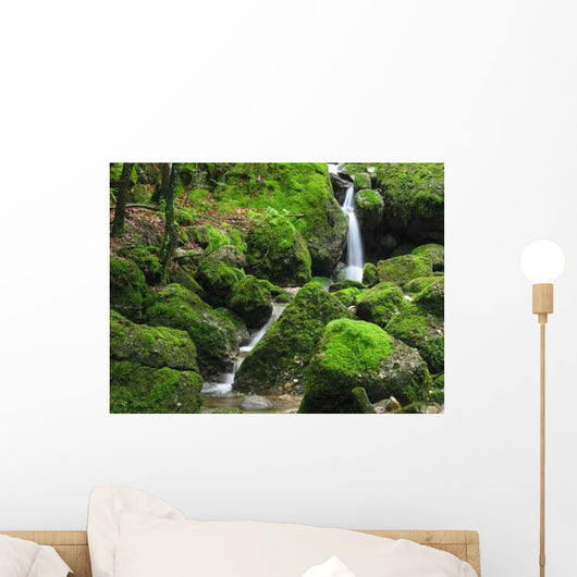 Wasserfall Im Moos Wall Decal