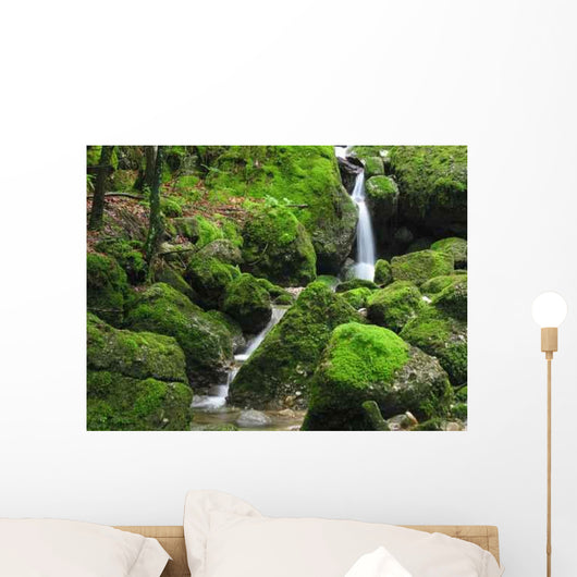 Wasserfall Im Moos Wall Decal