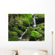 Wasserfall Im Moos Wall Decal