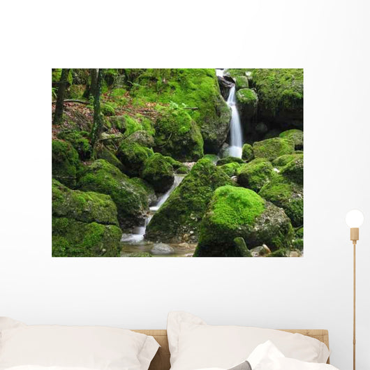 Wasserfall Im Moos Wall Decal