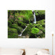 Wasserfall Im Moos Wall Decal
