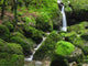 Wasserfall Im Moos Wall Decal