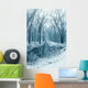 Snowy Stream Woods Wall Decal