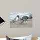 England Martin Mere Pintail Wall Decal