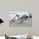 England Martin Mere Pintail Wall Decal