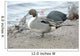 England Martin Mere Pintail Wall Decal