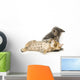 Tabby And Gray Kitten Wall Decal
