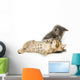 Tabby And Gray Kitten Wall Decal