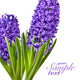 Flowers Wall Decal