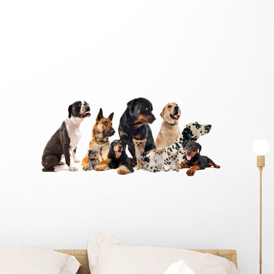 Group Dogs Wall Decal shown on a wall