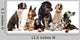 Group Dogs Wall Decal