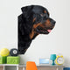 Rottweiler Wall Decal