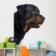 Rottweiler Wall Decal