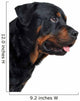 Rottweiler Wall Decal