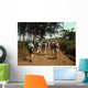 Rando Wall Decal