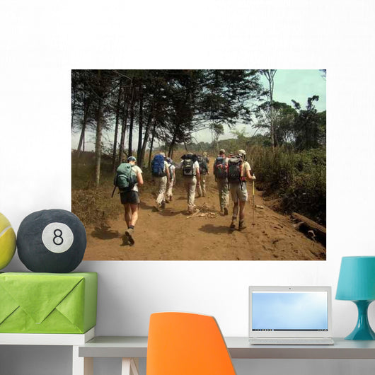 Rando Wall Decal
