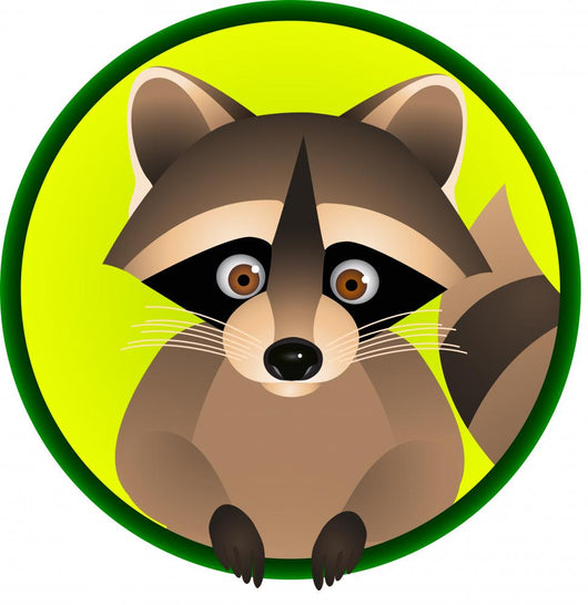 Racoon Cartoon Wall Decal