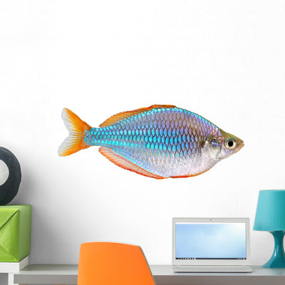 Dwarf Neon Rainbow Fish Wall Decal shown on a wall