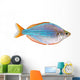 Dwarf Neon Rainbow Fish Wall Decal
