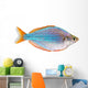 Dwarf Neon Rainbow Fish Wall Decal