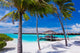 Empty Hammock Between Palm Wall Decal
