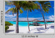 Empty Hammock Between Palm Wall Decal