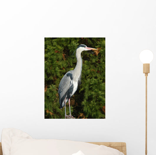 Grey Heron Wall Decal