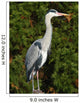 Grey Heron Wall Decal