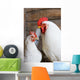 White Rooster And Hen Wall Decal