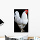 White Rooster Wall Decal