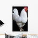 White Rooster Wall Decal